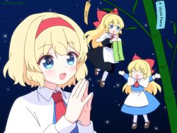 alice margatroid from touhou by bnelsey