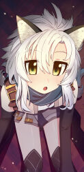 fie claussell from eiyuu densetsu
