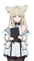 perlica (arknights) from arknights