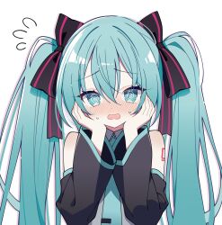 hatsune miku from vocaloid