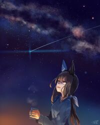 admire vega (umamusume) from umamusume