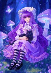 patchouli knowledge from touhou