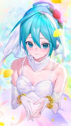 hatsune miku from project diva (series)