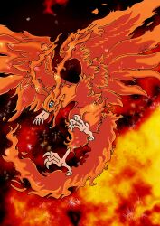 birdramon from digimon