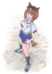 transcend (umamusume) from umamusume by vent arbre