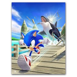 sonic the hedgehog from sonic (series)