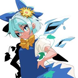 cirno from touhou by ryouryou