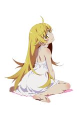 oshino shinobu from monogatari (series) by gesugesu ahoaho