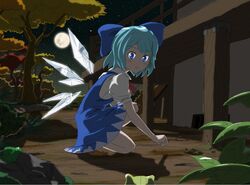 cirno from touhou by buncha to imon