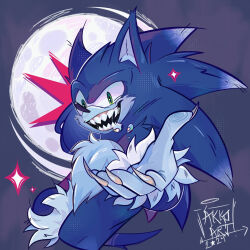 sonic the hedgehog from sonic (series)