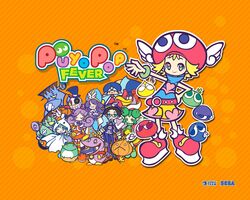 accord sensei from puyopuyo