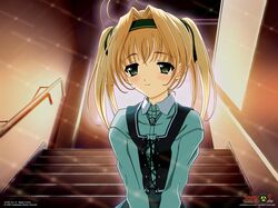 aoi mirai from maple colors