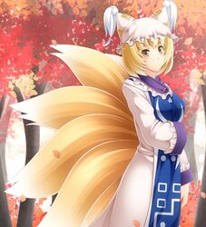 yakumo ran from touhou by komitsu
