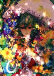 kazami yuuka from touhou by circumflex (artist)
