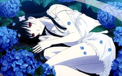 sanka rea from sankarea