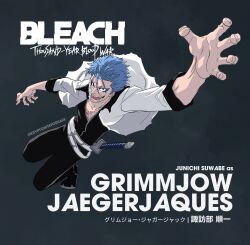 grimmjow jaegerjaquez from bleach