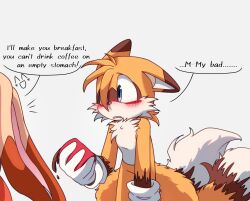 cream the rabbit from sonic (series)