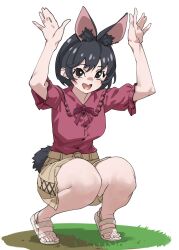 kemono friends fan art