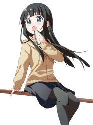 flying witch fan art