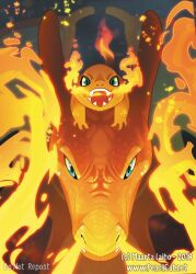 charizard from pokemon