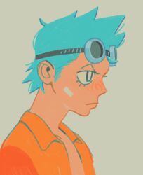 franky (one piece) from one piece