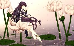 hijiri byakuren from touhou by aka ringo