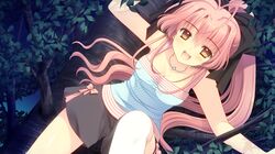 yanagase minato from tsuki ni yorisou otome no sahou by nishimata aoi