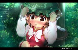chen from touhou by kane-neko