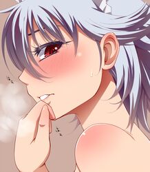 izayoi sakuya from touhou by hayashi kasutamu