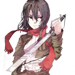 mikasa ackerman from shingeki no kyojin