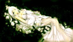 maoh from original by ulquiorra0