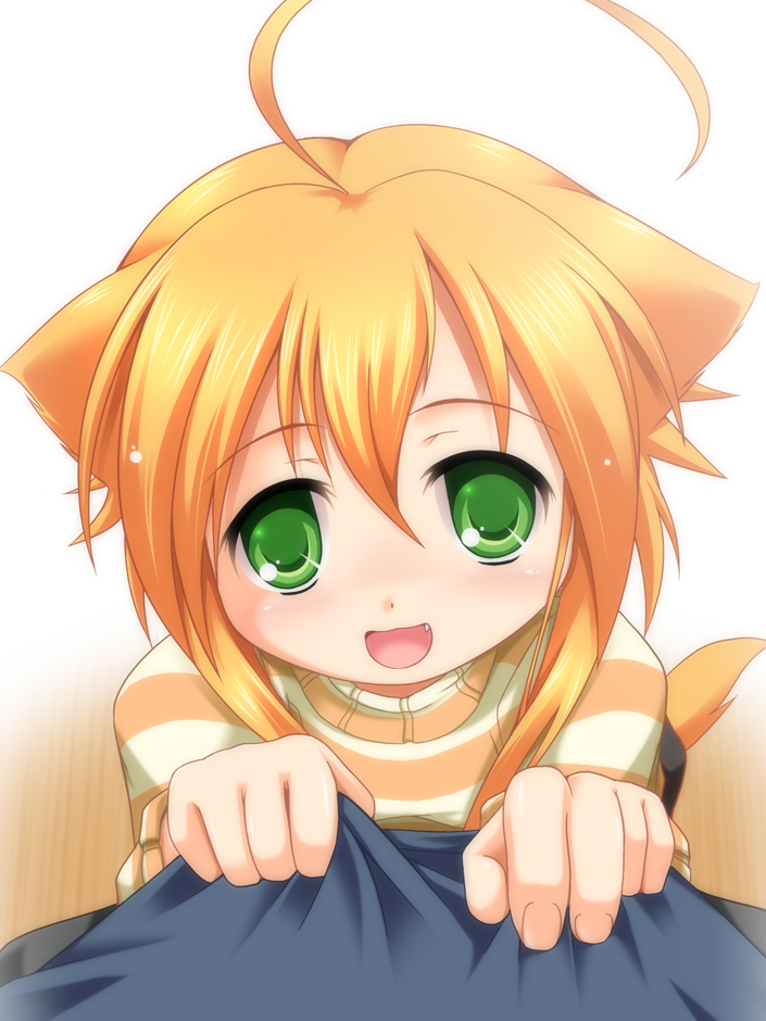 Assisst Wanko Hachi