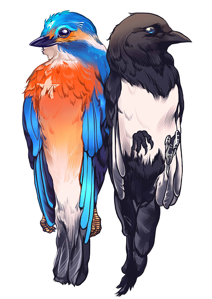Animalization. Пингвин noted. Воробей арты. Воробей пират птица. Капитан джек воробушек.