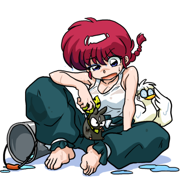 I Dream Of Ranma Chan