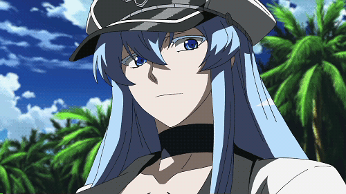 Safebooru 1girl Akame Ga Kill Animated Animated Blue Eyes Blue Hair Blush Esdeath Long