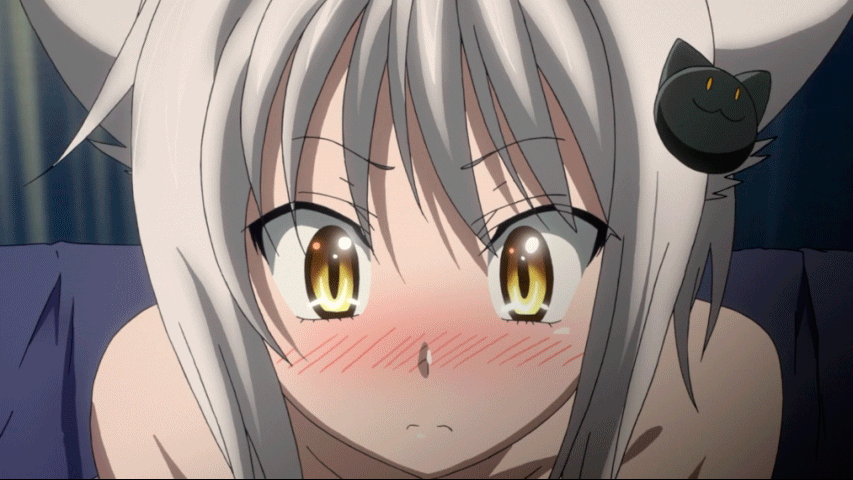 Safebooru - 1girl animal ears animated animated gif blush ca 1girl animal_ears animated animated_gif blush cat_ears high_school_dxd long...