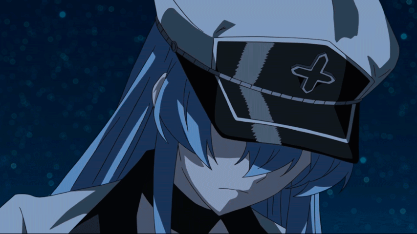 Safebooru 1girl Akame Ga Kill Animated Animated Blue Eyes Blue Hair Blush Esdeath Hat