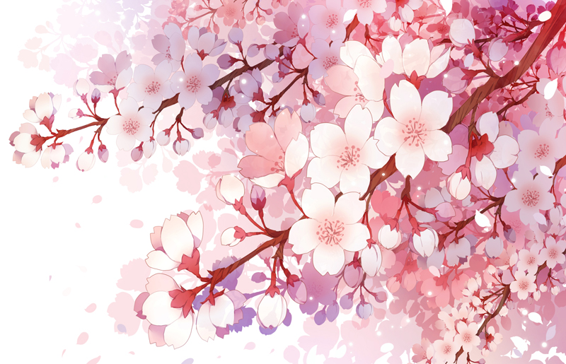 branch cherry_blossoms