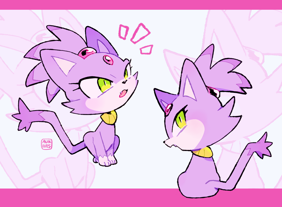 Как нарисовать кошку блейз из соника