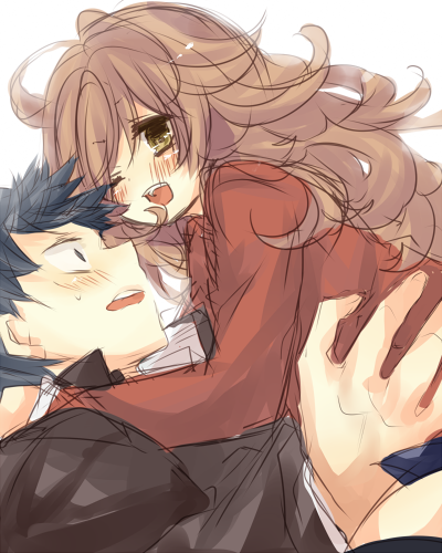 Toradora Doujinshi