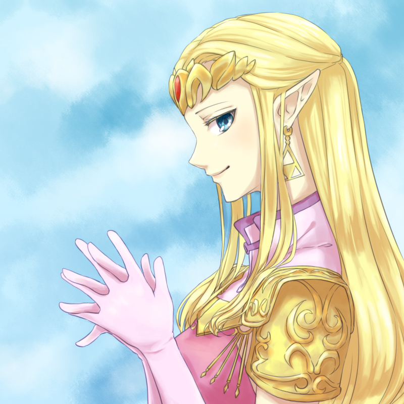 Princess link. Принцесса Мива Зельда. Взрослая принцесса Зельда. Zelda принцесса горный владыка. Принцесса Зельда Эстетика.