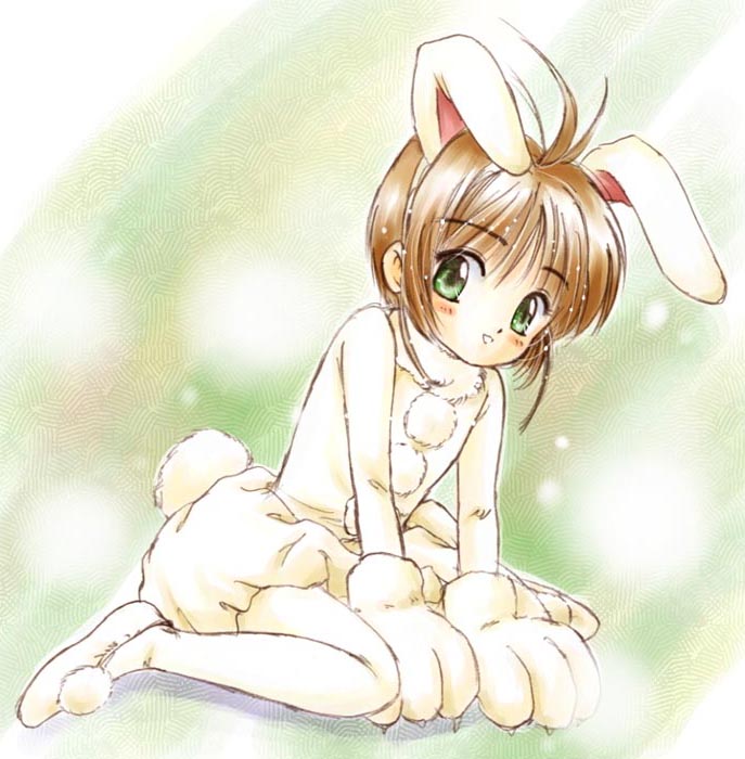 Sakura Kinomoto Hentai