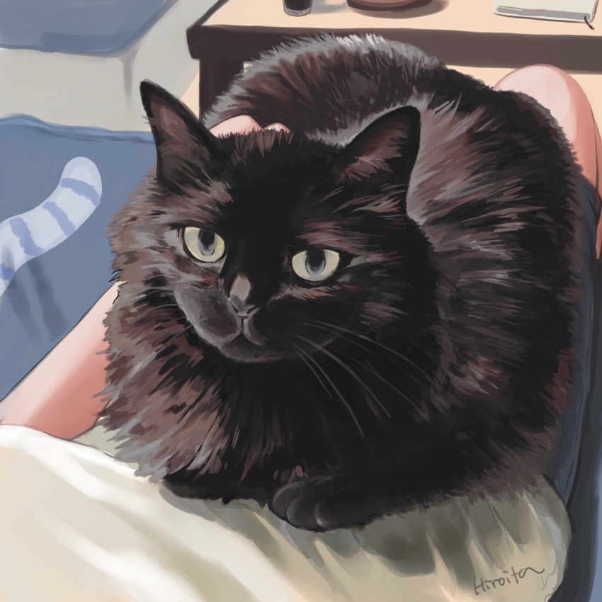 Safebooru - 1other ambiguous gender animal focus artist name black cat ...