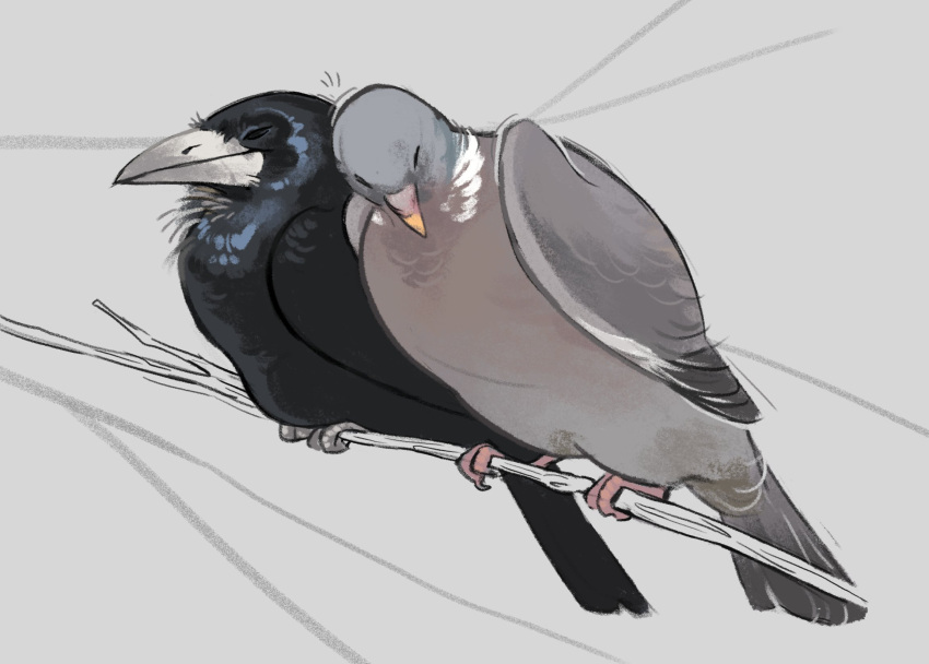Safebooru - affectionate animal animal couple animal focus beak bird ...