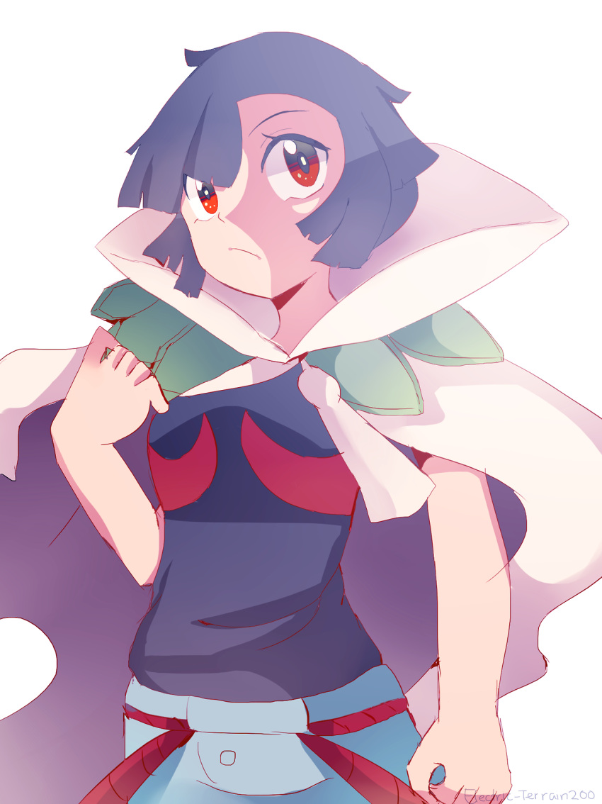 Safebooru 10s black hair blue hair cape higana (pokemon) pokemon pokemon (game) pokemon oras