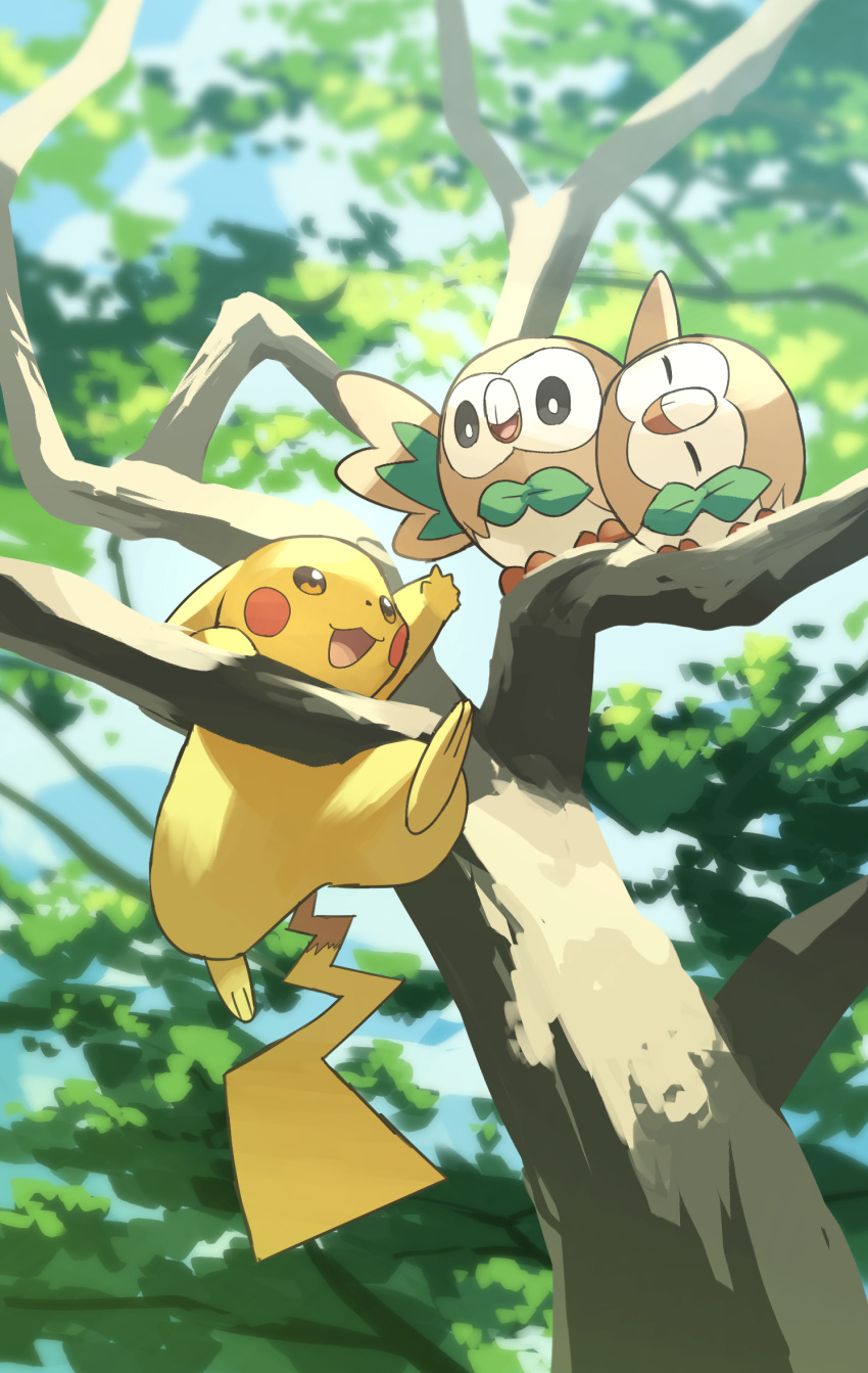 Rowlet Tree Safebooru - animal focus bird brown eyes commentary request highres no ...
