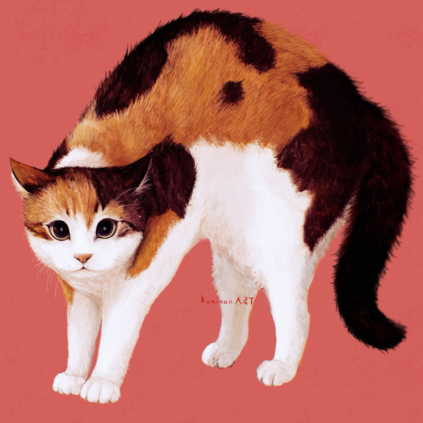 Safebooru - animal animal focus artist name calico (pattern) calico cat ...