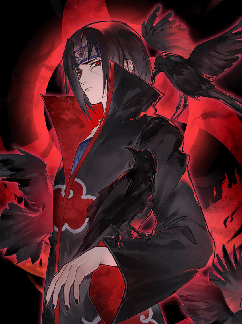 Akatsuki Bird Safebooru - 1boy absurdres akatsuki uniform animal on arm animal on ...