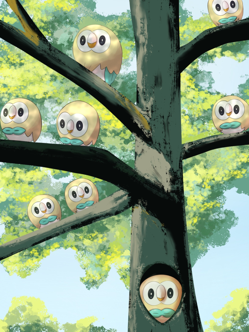 Rowlet Tree Safebooru - animal focus bird blue sky highres in tree looking at ...