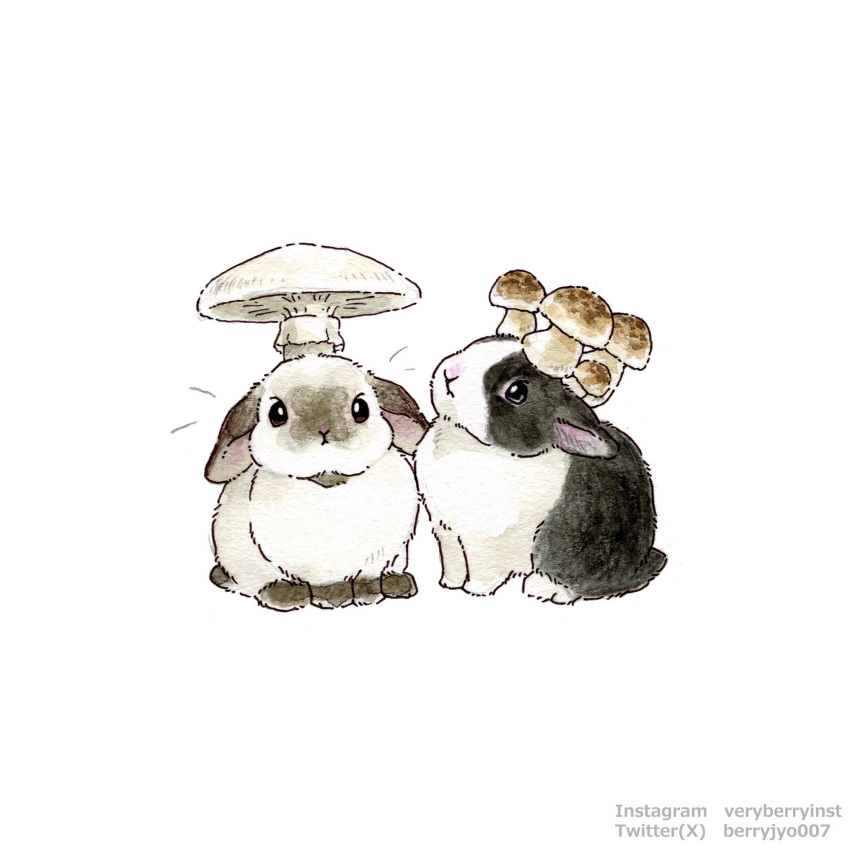 Safebooru - animal animal ears animal focus artist name berry jou ...